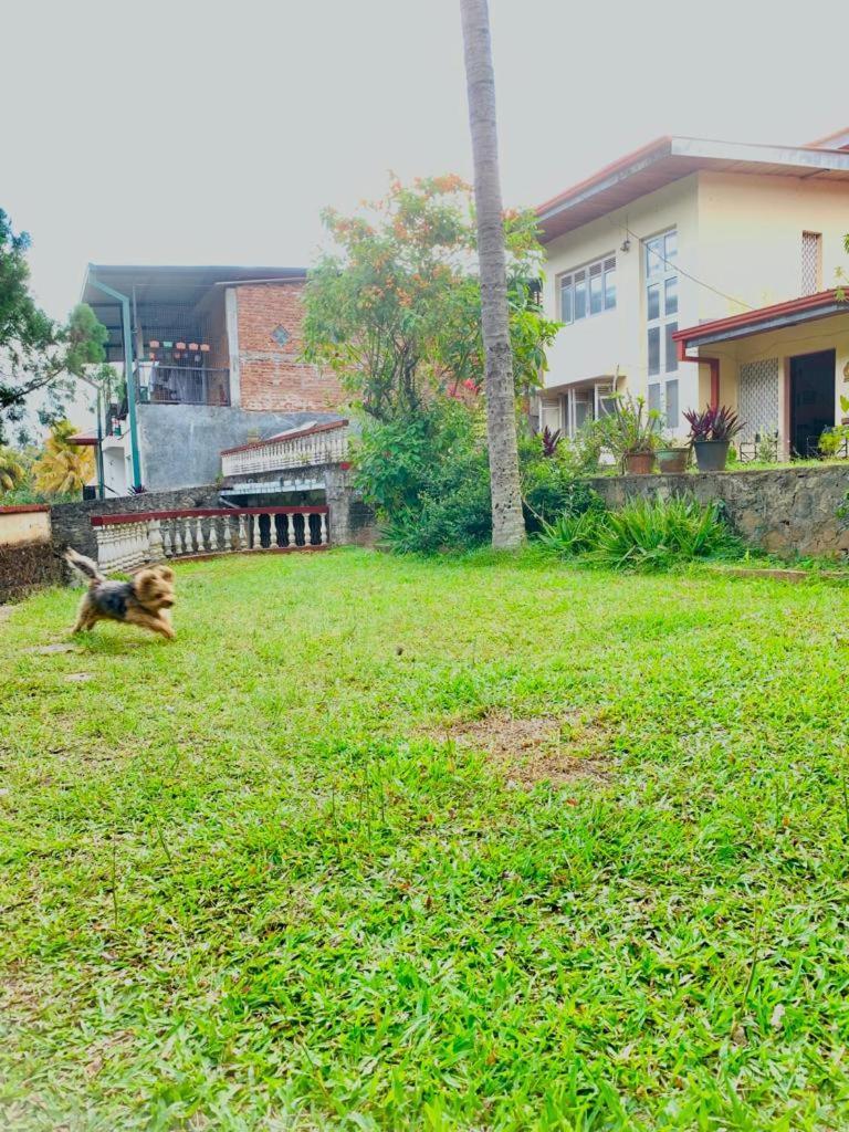 No 06 Veediya Bandara Lane Bahirawakanda Kandy Exterior foto